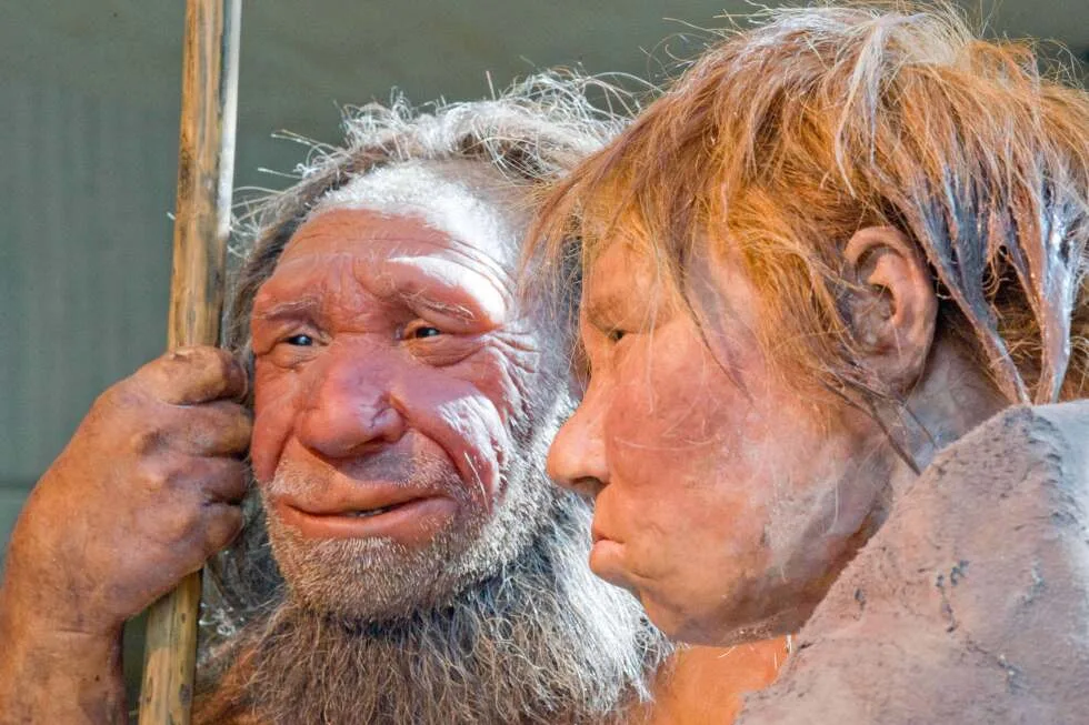 Analiză genetică sugerează că mai frecvent femeile moderne s-au împerecheat cu bărbați neandertalienii