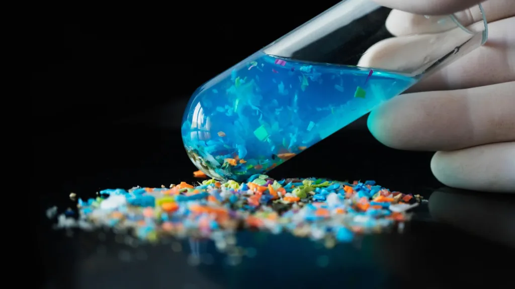 Microplasticele care strălucesc: o nouă metodă permite urmărirea lor în timp real în interiorul organismelor