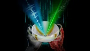 O nouă scanare 3D în culori creează imagini detaliate ale țesuturilor și vaselor sanguine fără radiații