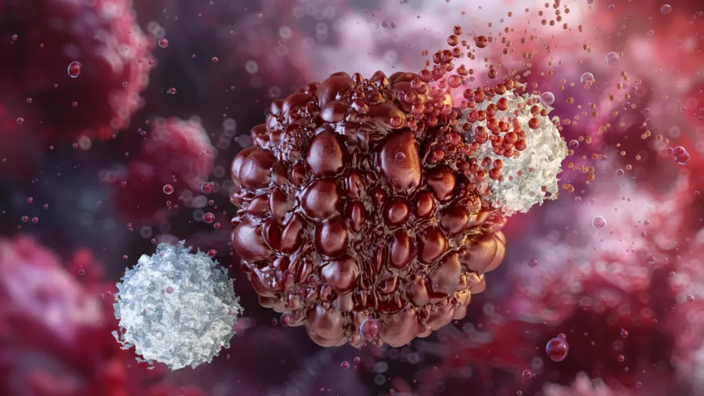 Un stem cell generează 14 milioane de celule NK care ucid tumori — progres major în imunoterapie
