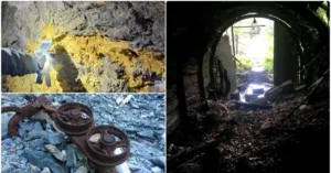 Comorile ascunse ale Munților Apuseni: metale rare și strategice cu potențial pentru industria viitorului