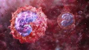 O nouă piesă din puzzle-ul Long COVID: un tip specific de monocite legat de oboseală și probleme respiratorii