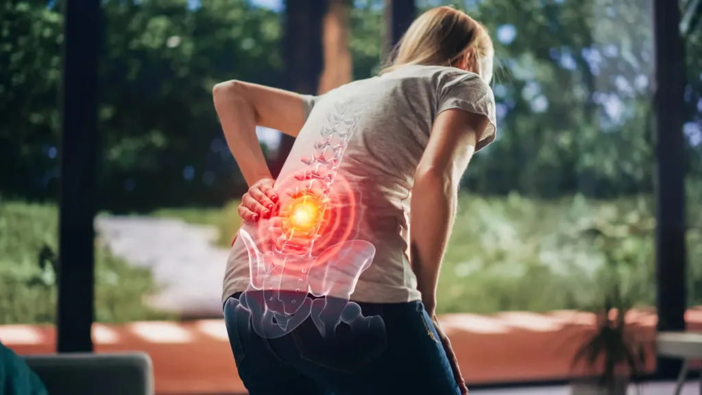 Un hormon osos ar putea opri durerea cronică de spate prin „îndepărtarea” nervilor care provoacă durere, arată studiul