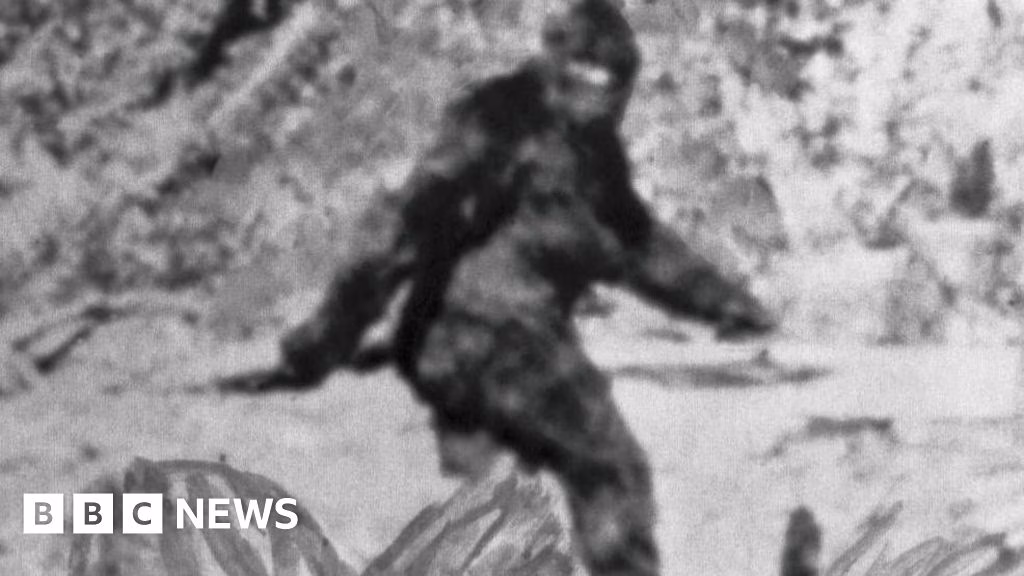 Ce au descoperit sociologii după ani de convorbiri cu vânători de Bigfoot: viața, metodele și credințele comunității
